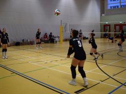 2. Sp. SSv-Damen VB - Langenberg-J.