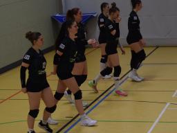 2. Sp. SSv-Damen VB - Langenberg-J.