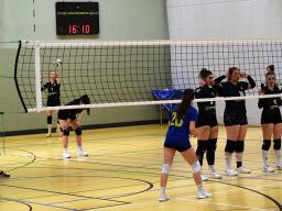 2. Sp. SSv-Damen VB - Langenberg-J.