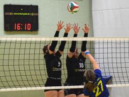 2. Sp. SSv-Damen VB - Langenberg-J.