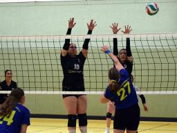 2. Sp. SSv-Damen VB - Langenberg-J.