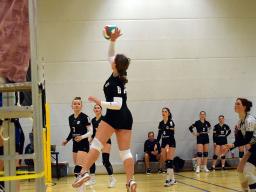 2. Sp. SSv-Damen VB - Langenberg-J.