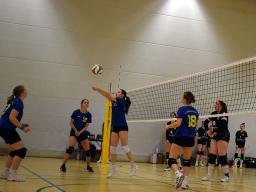 2. Sp. SSv-Damen VB - Langenberg-J.