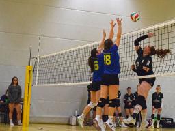 2. Sp. SSv-Damen VB - Langenberg-J.